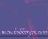 | bobbergen.com |